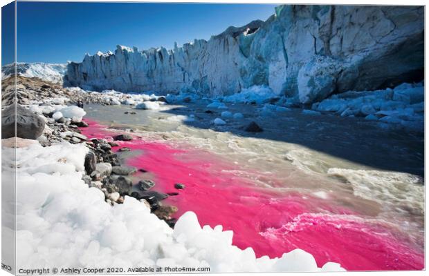 Pink glacier. Canvas Print by Ashley Cooper