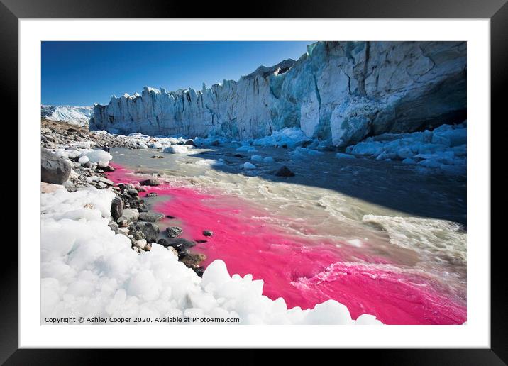 Pink glacier. Framed Mounted Print by Ashley Cooper