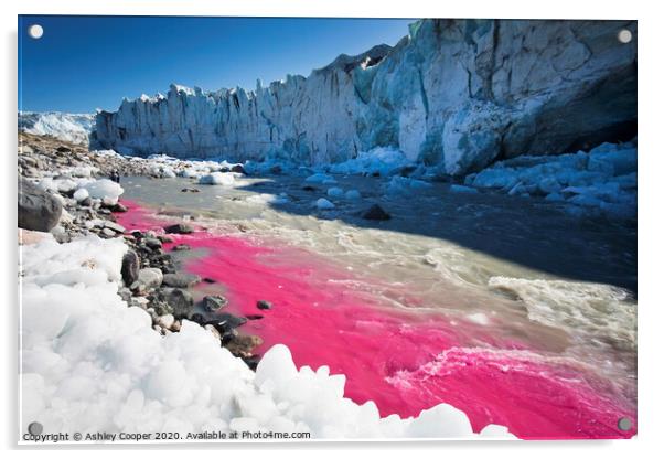 Pink glacier. Acrylic by Ashley Cooper
