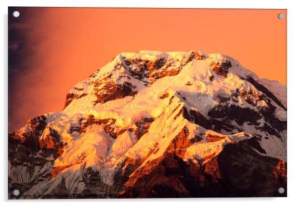 Annapurna South Acrylic by Ashley Cooper