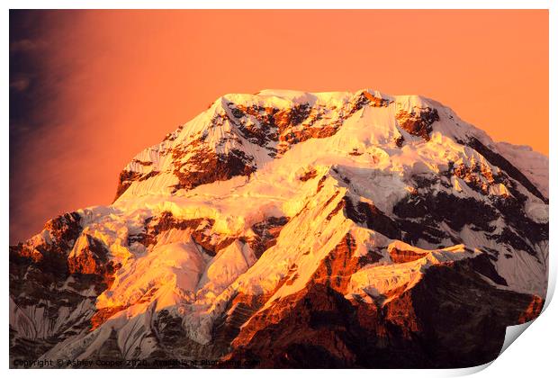 Annapurna South Print by Ashley Cooper