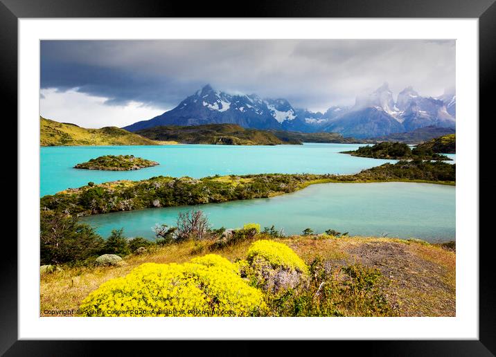 Torres del Paine National Park Framed Mounted Print by Ashley Cooper