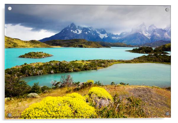 Torres del Paine National Park Acrylic by Ashley Cooper