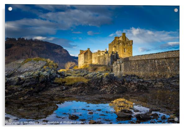 Eileen Donan castle Acrylic by Bill Allsopp