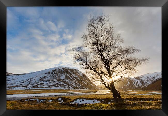 Strathdearn Valley in Winter, Scotland Framed Print by Arterra 