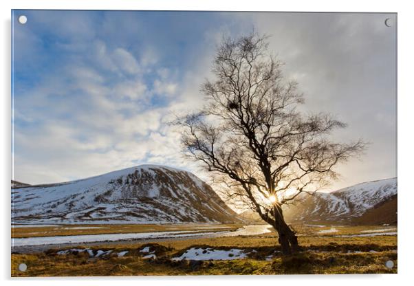 Strathdearn Valley in Winter, Scotland Acrylic by Arterra 