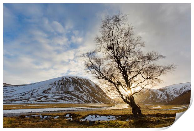 Strathdearn Valley in Winter, Scotland Print by Arterra 