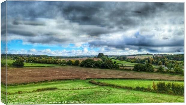 Grey skies and green fields Canvas Print by Steve WP