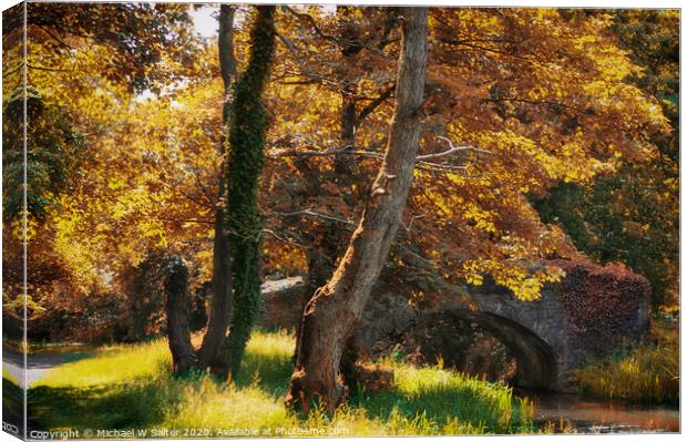 Autumn In South Wales Canvas Print by Michael W Salter