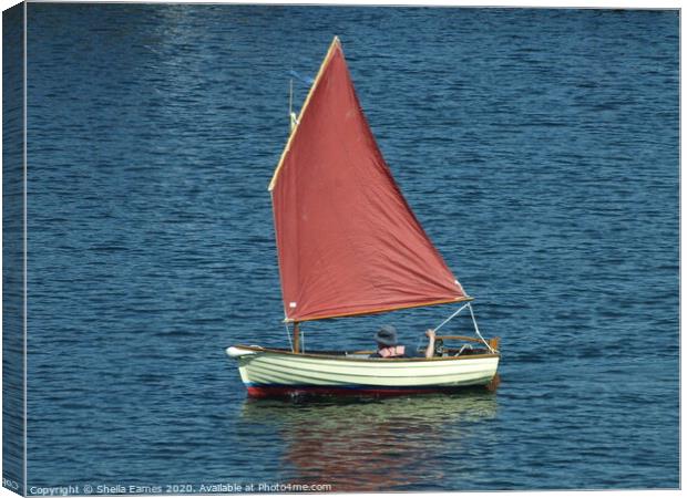 Red Sail Solitude Canvas Print by Sheila Eames