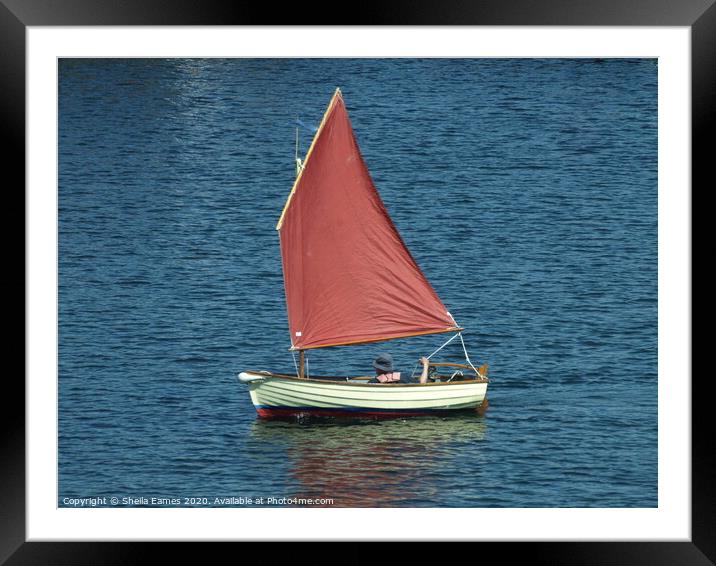 Red Sail Solitude Framed Mounted Print by Sheila Eames