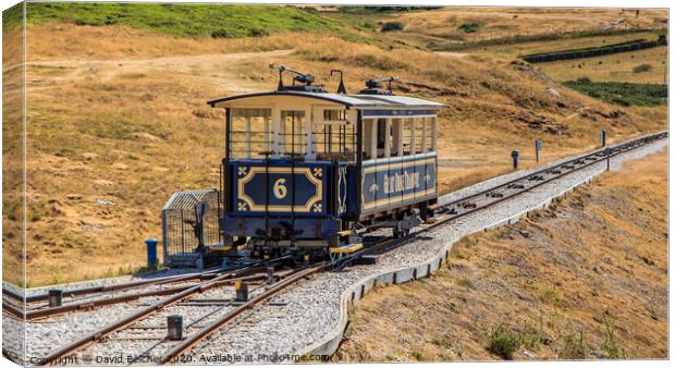 The Great Orme Tramway Canvas Print by David Belcher