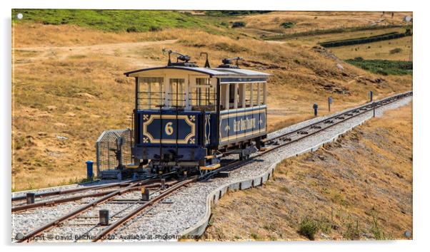 The Great Orme Tramway Acrylic by David Belcher