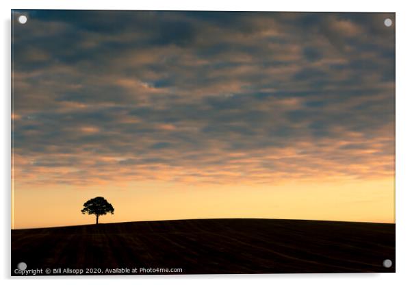 Lone tree at sunrise. Acrylic by Bill Allsopp