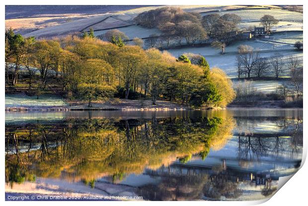 Ashes Farm at first light Print by Chris Drabble