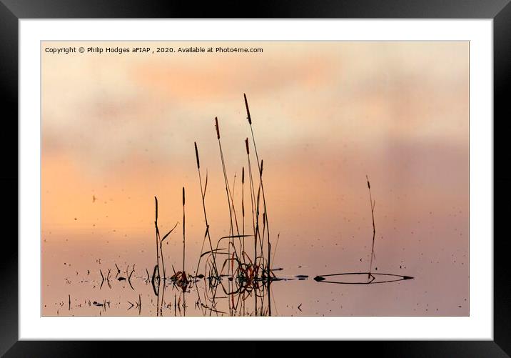Rushes, Floods and Mist Framed Mounted Print by Philip Hodges aFIAP ,