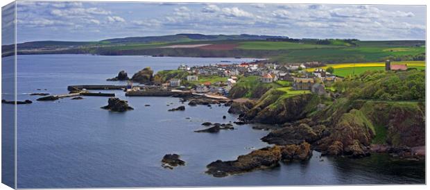 St Abbs, Berwickshire, Scotland Canvas Print by Arterra 