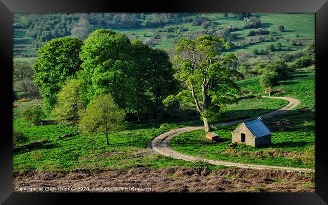 Dudwood farm lane at dawn Framed Print by Chris Drabble