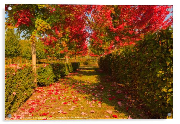 chromatic magic of the autumn Acrylic by susanna mattioda