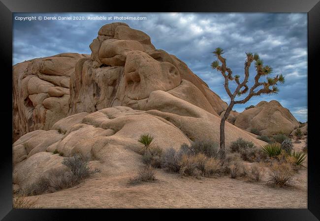 Joshua Tree National Park Framed Print by Derek Daniel