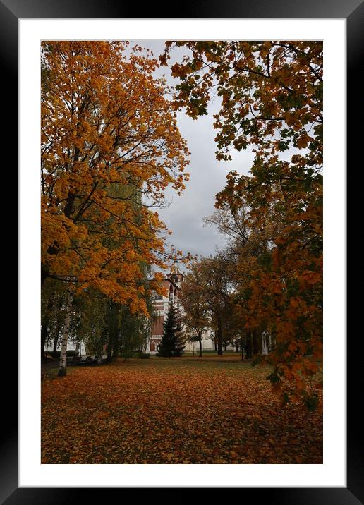 Autumn landscape - autumn in the Park, yellow leav Framed Mounted Print by Karina Osipova