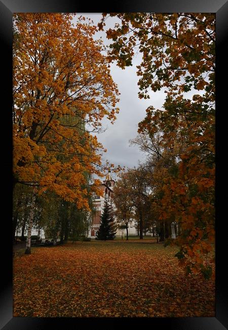 Autumn landscape - autumn in the Park, yellow leav Framed Print by Karina Osipova