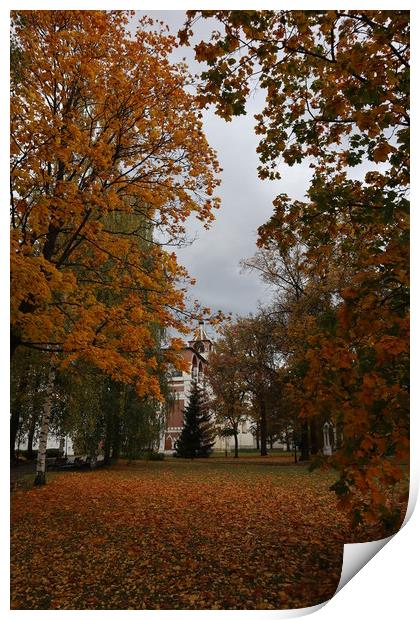 Autumn landscape - autumn in the Park, yellow leav Print by Karina Osipova
