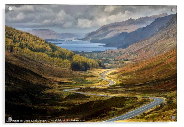 Glen Docherty with Loch Maree in the distance Acrylic by Chris Drabble