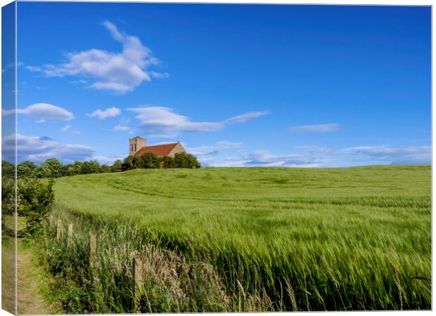 House in the Field Canvas Print by Danilo Cattani