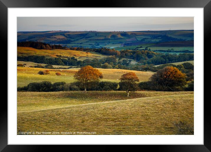 West Dorset Landscape Framed Mounted Print by Paul Brewer