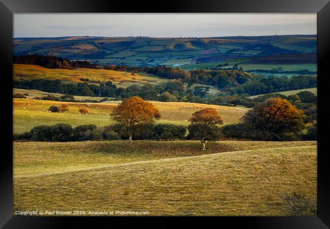 West Dorset Landscape Framed Print by Paul Brewer