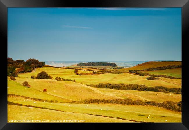 Fields of Dorset Framed Print by Paul Brewer