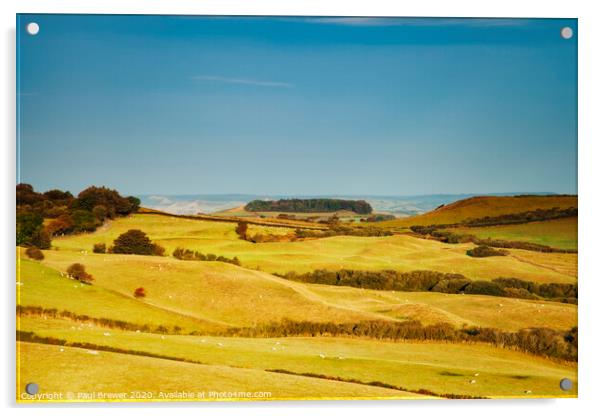 Fields of Dorset Acrylic by Paul Brewer