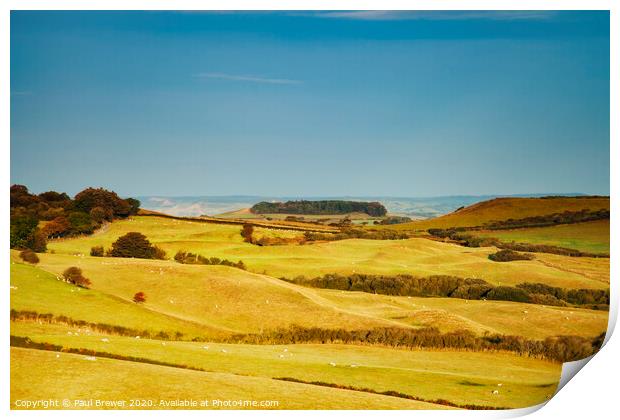 Fields of Dorset Print by Paul Brewer