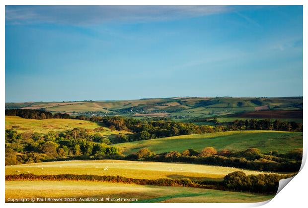 Dorset fields after Sunrise Print by Paul Brewer