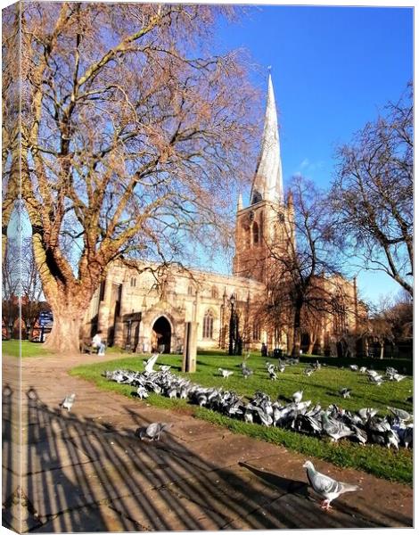 The Crooked Spire and the Pigeons  Canvas Print by Michael South Photography
