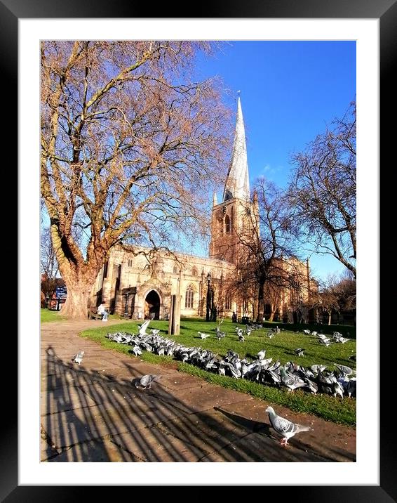 The Crooked Spire and the Pigeons  Framed Mounted Print by Michael South Photography