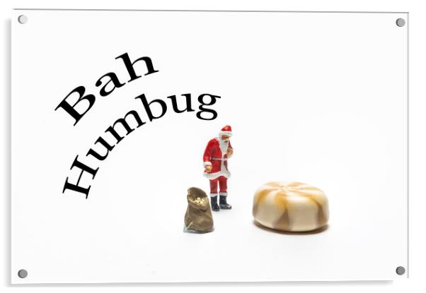 Bah Humbug Acrylic by Steve Purnell