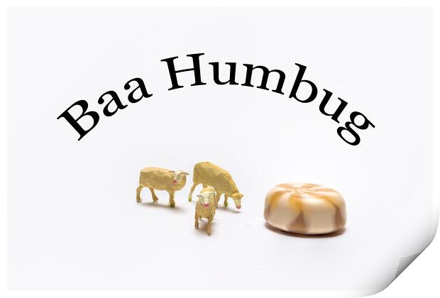 Baa Humbug Print by Steve Purnell