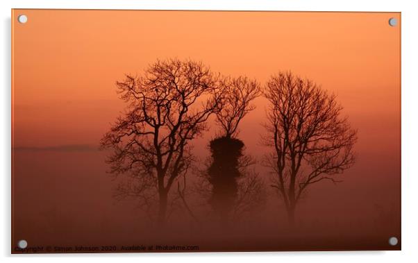 Trees in mist Acrylic by Simon Johnson
