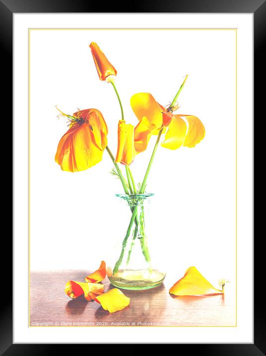 Orange Poppies Framed Mounted Print by Clare Edmonds