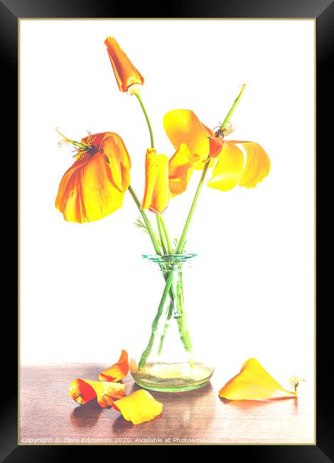 Orange Poppies Framed Print by Clare Edmonds