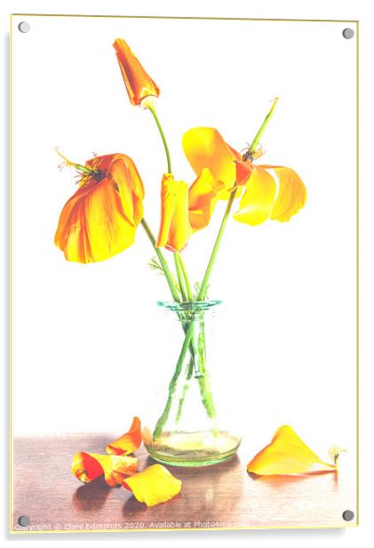 Orange Poppies Acrylic by Clare Edmonds
