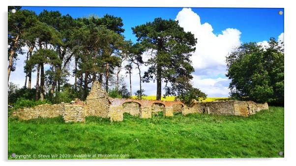 Derelict Farm Acrylic by Steve WP