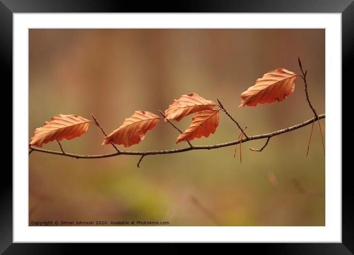 Queuing beech leaves, no social distance Framed Mounted Print by Simon Johnson