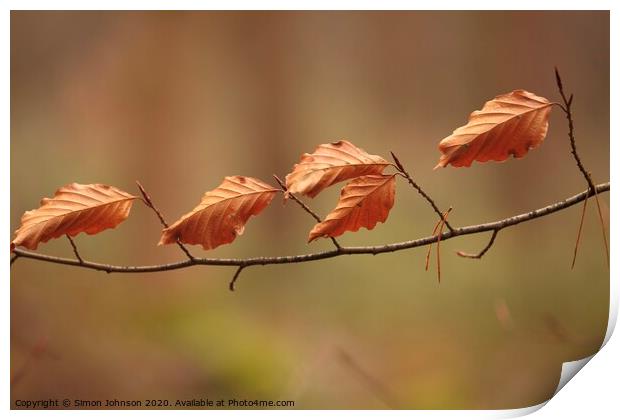 Queuing beech leaves, no social distance Print by Simon Johnson
