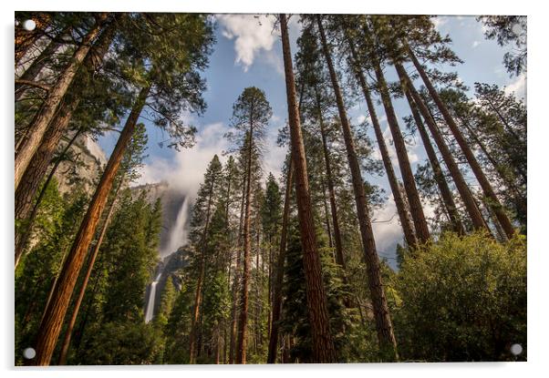 Yosemite Acrylic by Sandra Kepkowska