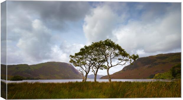 Buttermere In The Lake District National Park Canvas Print by Phil Durkin DPAGB BPE4