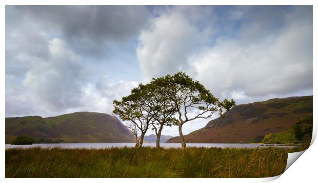 Buttermere In The Lake District National Park Print by Phil Durkin DPAGB BPE4