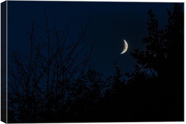 The Waxing Crescent Canvas Print by Paddy Art